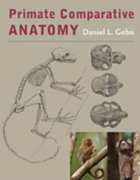 Book Cover for Primate Comparative Anatomy by Daniel Lee Gebo