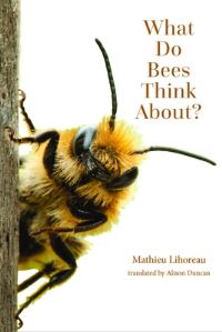 Book Cover for What Do Bees Think About? by Mathieu Lihoreau