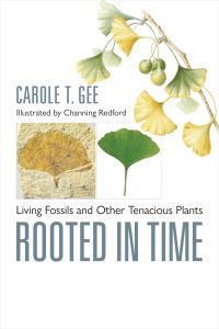 Book Cover for Rooted in Time by Carole T Gee
