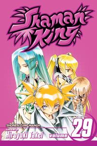 Book Cover for Shaman King. Vol. 29 by Hiroyuki Takei
