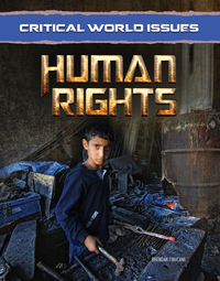 Book Cover for Human Rights by Brendan Finucane