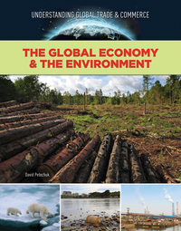 Book Cover for The Global Economy and the Environment by David Petechuk