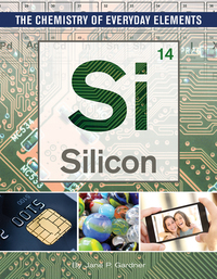 Book Cover for Silicon by Jane P Gardner