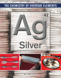 Book Cover for Silver by Mari Rich