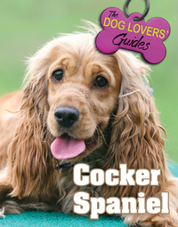 Book Cover for Cocker Spaniel by Jane Simmonds