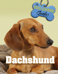 Book Cover for Dachshund by Jennifer Lowe