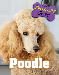 Book Cover for Poodle by Rebecca Bayliss