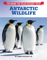 Book Cover for Antarctic Wildlife by James Buckley