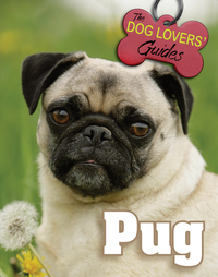 Book Cover for Pug by Ellen Williams