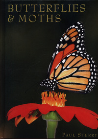 Book Cover for Butterflies & Moths by Paul Sterry