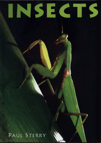 Book Cover for Insects by Paul Sterry