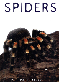 Book Cover for Spiders by Paul Sterry
