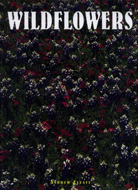 Book Cover for Wildflowers by Andrew Cleave