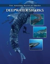 Book Cover for Deepwater Sharks by Joyce A Hull