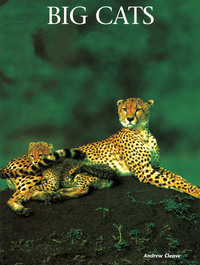 Book Cover for Big Cats by Andrew Cleave