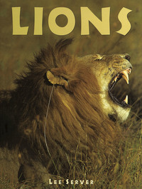 Book Cover for Lions by Lee Server