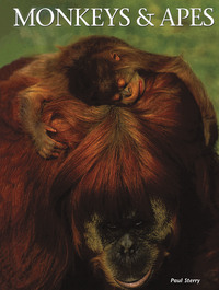 Book Cover for Monkeys & Apes by Paul Sterry