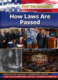 Book Cover for How Laws Are Passed by Justine Rubinstein