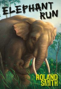 Book Cover for Elephant Run by Roland Smith