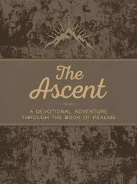 Book Cover for The Ascent by John Greco