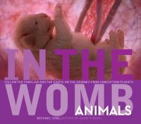 Book Cover for In the Womb by Michael Sims