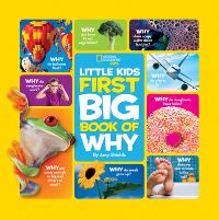 Book Cover for First Big Book of Why by Amy Shields