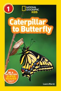 Book Cover for Caterpillar to Butterfly by Laura F Marsh