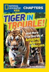 Book Cover for National Geographic Kids Chapters: Tiger in Trouble! by Kelly Milner Halls, National Geographic Kids