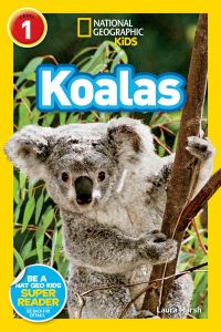 Book Cover for Koalas by Laura F Marsh