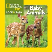 Book Cover for Baby Animals by 