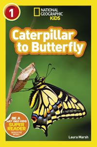 Book Cover for Caterpillar to Butterfly by Laura F Marsh