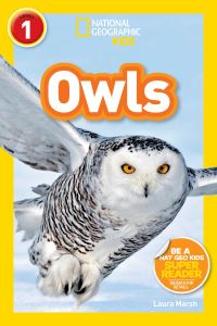 Book Cover for Owls by Laura F Marsh, National Geographic Society US