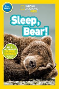 Book Cover for Sleep, Bear! by Shelby Alinsky