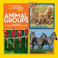 Book Cover for Animal Groups by Jill Esbaum