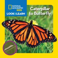 Book Cover for Caterpillar to Butterfly / Text by Catherine D. Hughes by Catherine D. Hughes