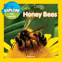 Book Cover for Honeybees by Jill Esbaum