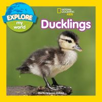 Book Cover for Ducklings by Marfe Ferguson Delano, National Geographic Society US