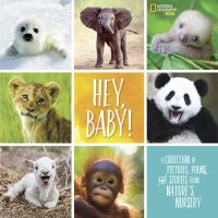 Book Cover for Hey, Baby! by Stephanie Warren Drimmer
