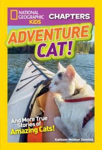 Book Cover for Adventure Cat! by Kathleen Weidner Zoehfeld