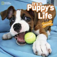 Book Cover for It's a Puppy's Life by Seth Casteel