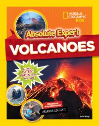 Book Cover for Absolute Expert by Lela Nargi