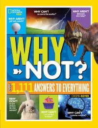 Book Cover for Why Not? by Crispin Boyer