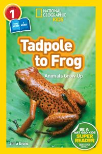 Book Cover for Tadpole to Frog by Shira Evans