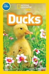 Book Cover for Ducks (National Geographic Kids Readers, Pre-Reader). NGK Readers Pre-Reader by Jennifer Szymanski, National Geographic Kids