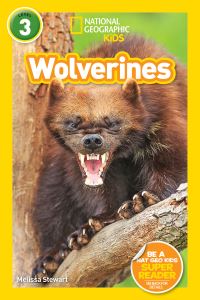 Book Cover for Wolverines by Melissa Stewart