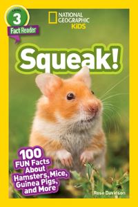 Book Cover for Squeak! by Rose Davidson