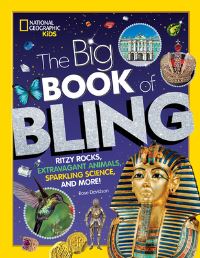 Book Cover for The Big Book of Bling by Rose Davidson