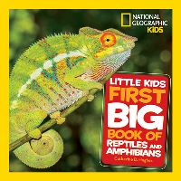 Book Cover for Little Kids First Big Book of Reptiles and Amphibians by Catherine D. Hughes