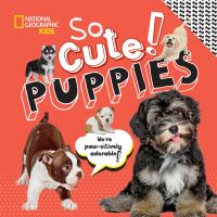 Book Cover for So Cute! Puppies by Crispin Boyer