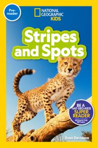 Book Cover for Stripes and Spots by Rose Davidson